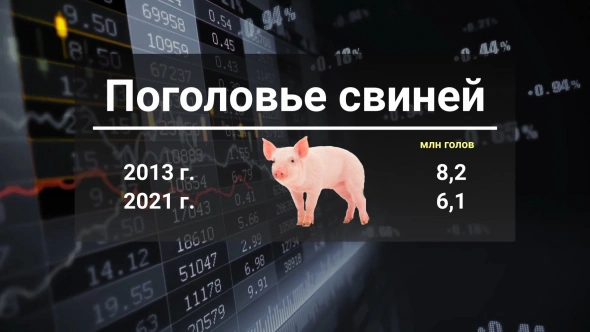 На Украине резко подорожало сало / Инфляция в США догоняет российскую / Биткоин обогатил автослесарей