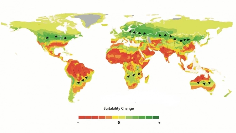Шаблон будущей карты мира, где зелёным цветом обозначены территории «пригодные» для жизни в будущем