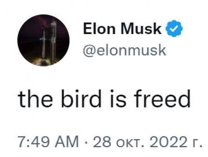Маск освободил птичку