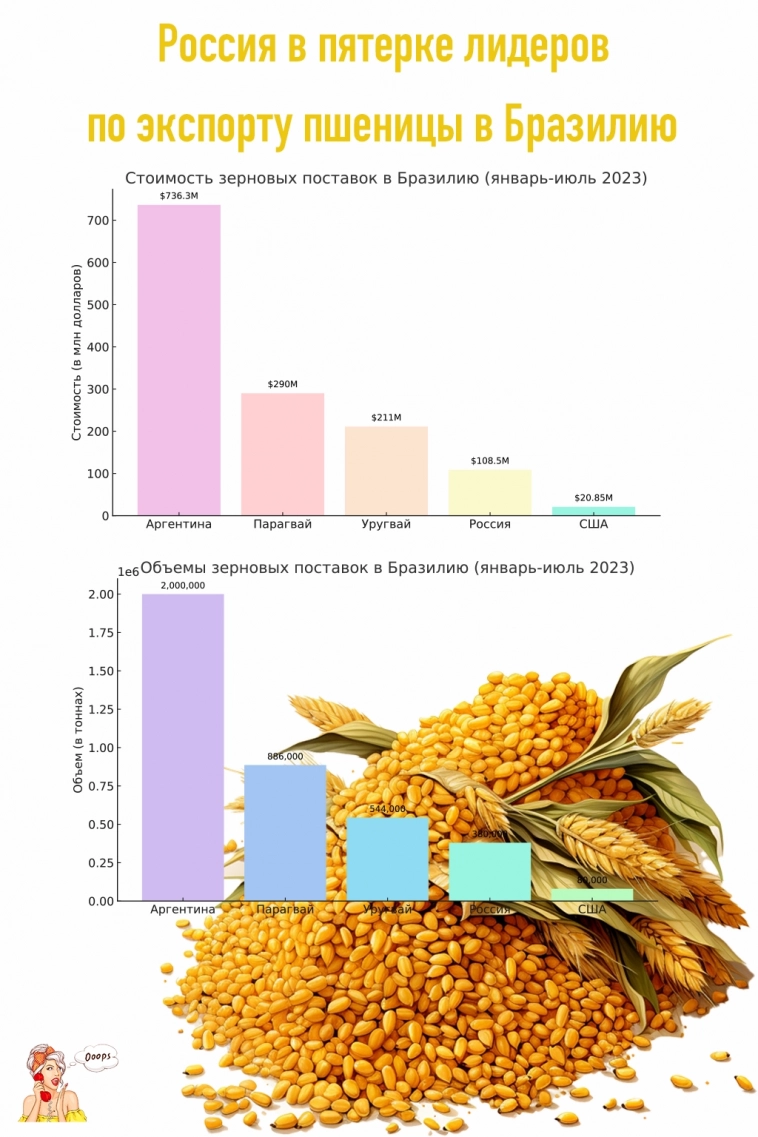 Россия в пятерке лидеров по экспорту пшеницы в Бразилию.