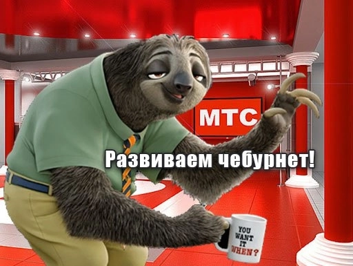 МТС выделила Р6 млрд на свой аналог TikTok и YouTube — руководитель проекта Наталья Братчикова