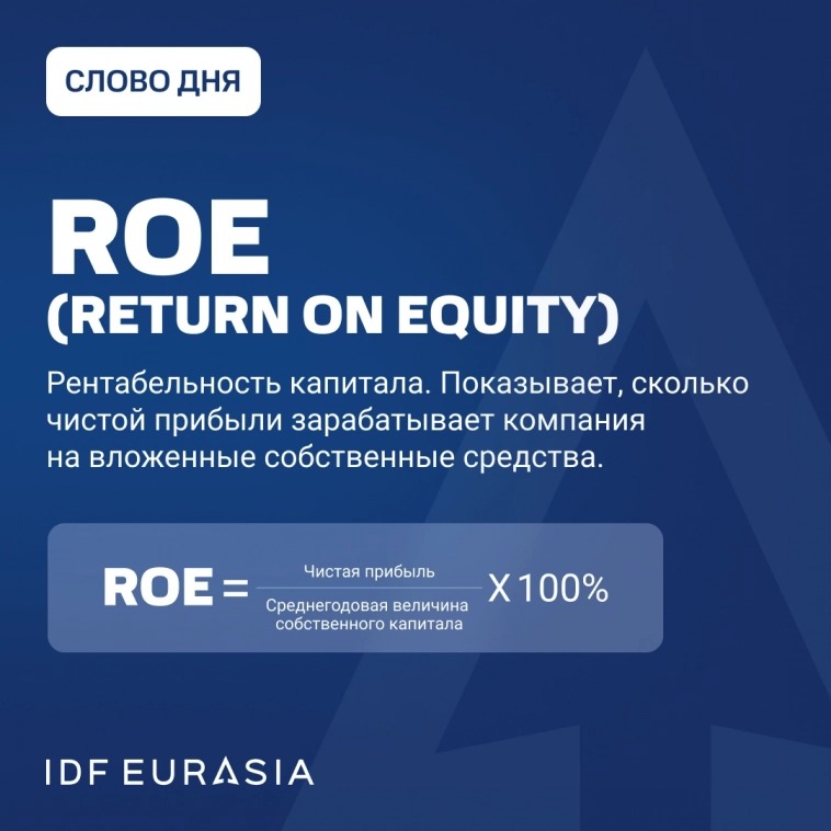 ROE IDF Eurasia по итогам 2023 г.