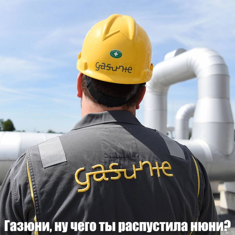 Скандал в газовом семействе: российский Газпром судится с нидерландской Gasunie, плюнувшей на свою долю в "Северном потоке"