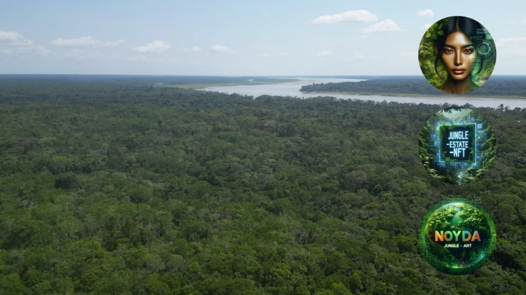 Noyda: Надёжные Инвестиционные Решения в Джунглях Амазонии с Помощью RWA и NFT
