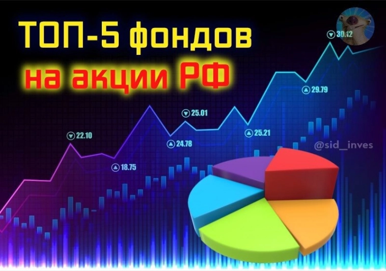 ТОП-5 фондов на российские акции. В какие вкладываюсь я сам?