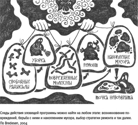 Cтарение. Часть 3. Старение как изнашивание, как защита, как программа, как побочный эффект. Заключение. Кто виноват. Что делать.