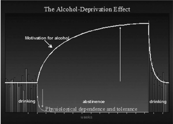 Пить, чтобы бросить пить. Как избавиться от алкогольной зависимости: способ, одобренный наукой.