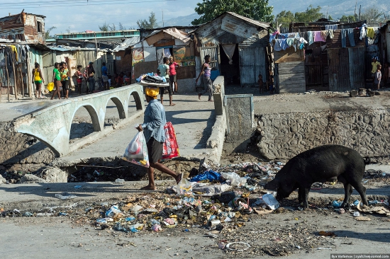 Шадрину Саше пора задуматься над инвестициями в Гаити.