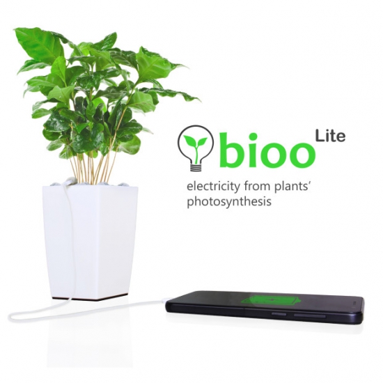 Bioo - электроэнергия из фотосинтеза
