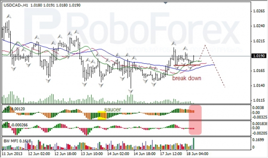 RoboForex: анализ индикаторов Б. Вильямса для USD/CAD и NZD/USD на 18.06.2013