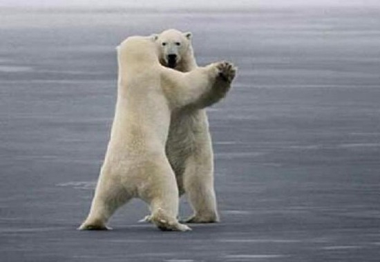 Танцы "медведей" закончились?..