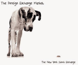 Forex или фондовый рынок, где лучше торговать?
