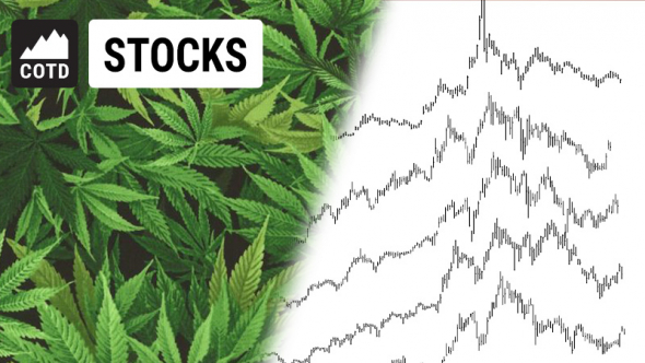 Пять акций индустрии марихуаны, пять возможностей.