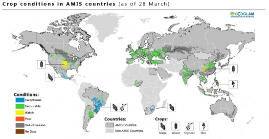 Карта состояния кукурузы, сои и пшеницы в мире