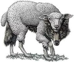 Трамп и овцы