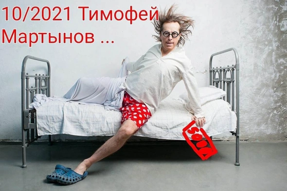 Политэкономия Тимофея Мартынова