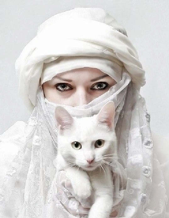 Вчера был праздник ( блог 229 )