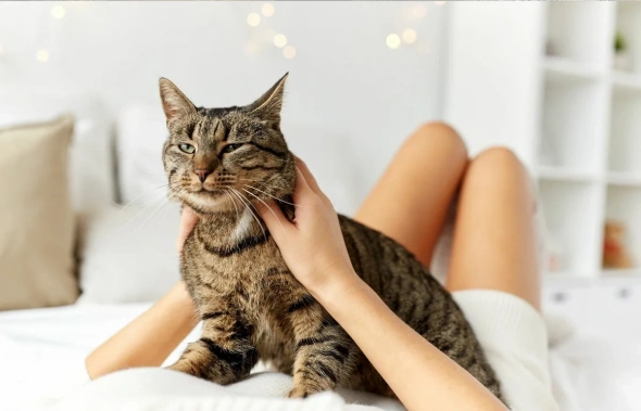 Советы от старого (блог 244)