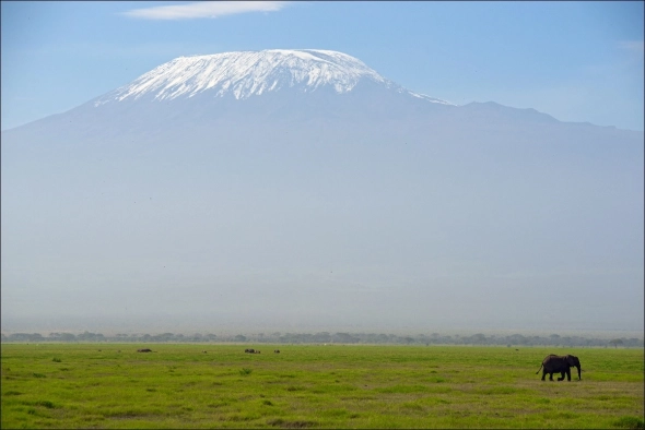 Как мои друзья покоряли Килиманджаро ( или куда тратить деньги)(блог 286) Как мои друзья покоряли Килиманджаро ( или куда тратить деньги)(блог 286)