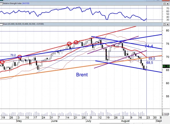 Покупать ли сегодня акции инвесторам на утреннем подъеме ?