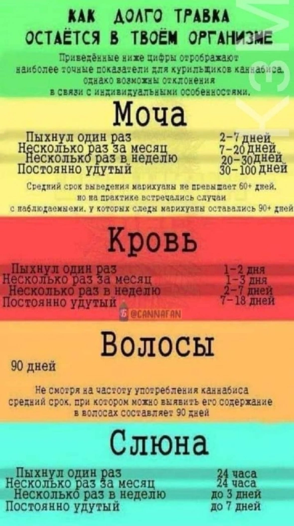 За месяц рост в 3 раза. За месяц рост в 3 раза.