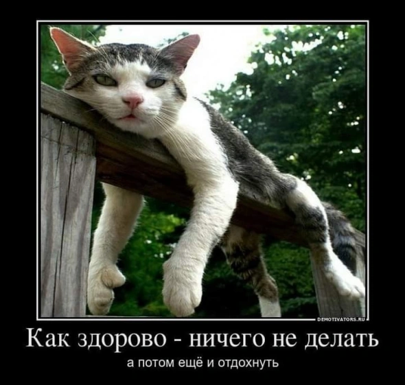 Ленивый Спекулянт. Готовимся к лучшему.