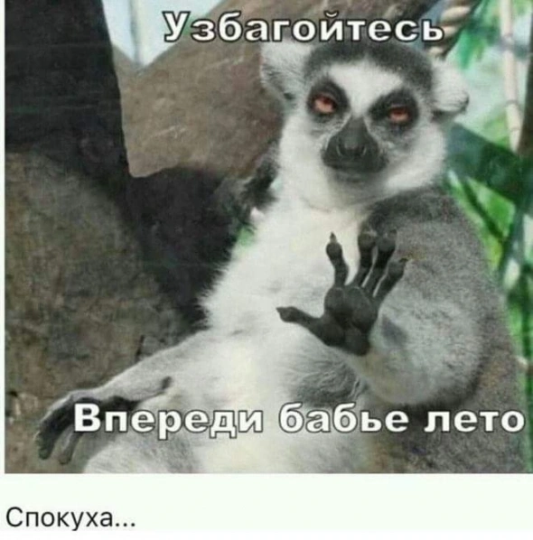 Ленивый Спекулянт. Важный день - Лагард на проводе.