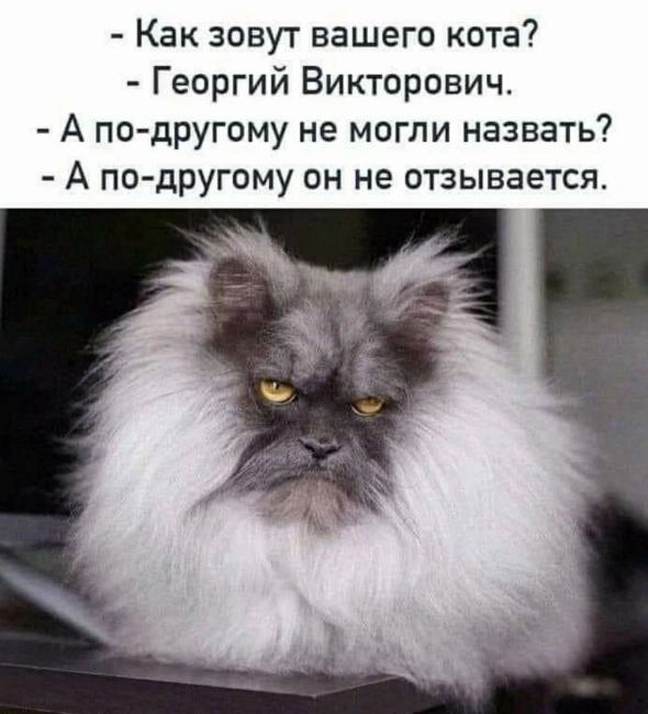 Ленивый Спекулянт. 13-е, но не пятница.