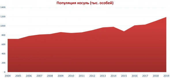 Кризис чипов продолжается / Электросамокаты возьмут под контроль / Всё больше ДТП с дикими животными