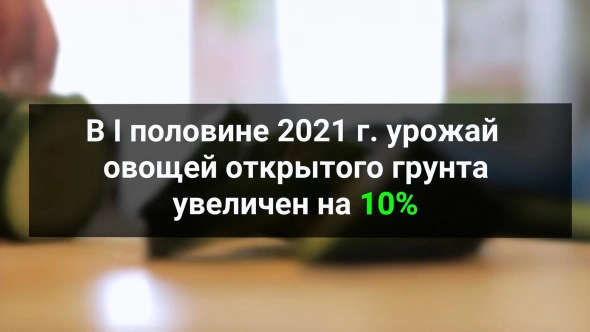 Насекомоедство в Англии / Чёрные кредиторы разбушевались / Антипрививочники - жертвы шантажа