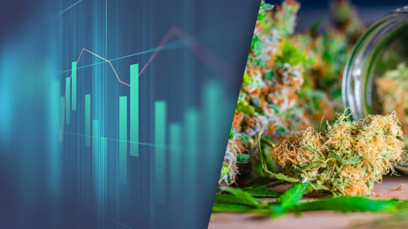 Есть ли связь между рынками и принятием законов о марихуане?