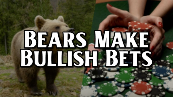 Когда даже медведи делают бычьи ставки. Когда даже медведи делают бычьи ставки.