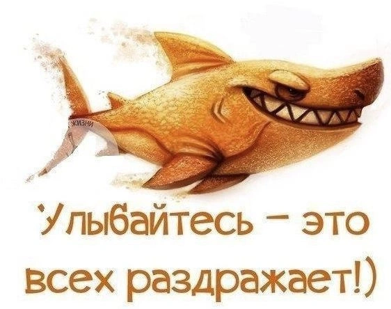 иГРЫрАЗУМа 2021. Подводим итоги 8-ми недель управления опционным портфелем активов для Алексея.