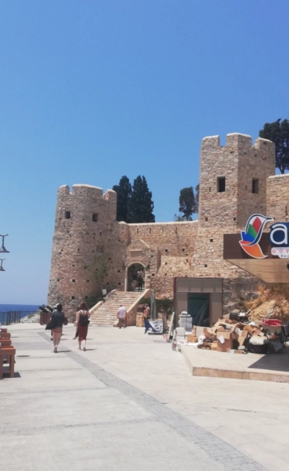 Азия. Среда.