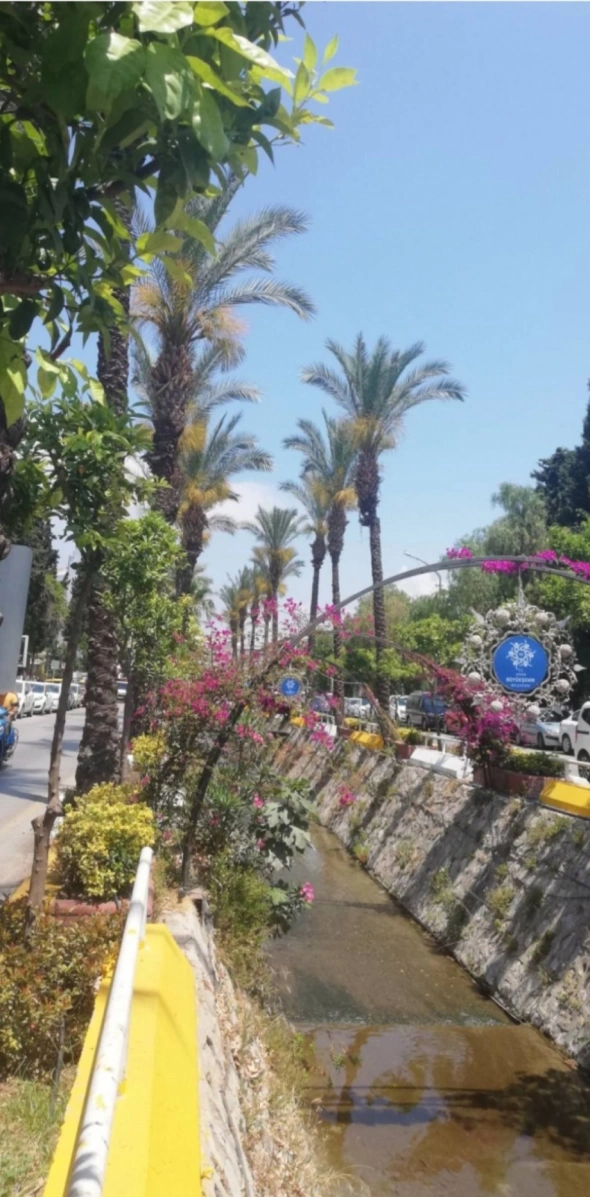 Азия. Среда.