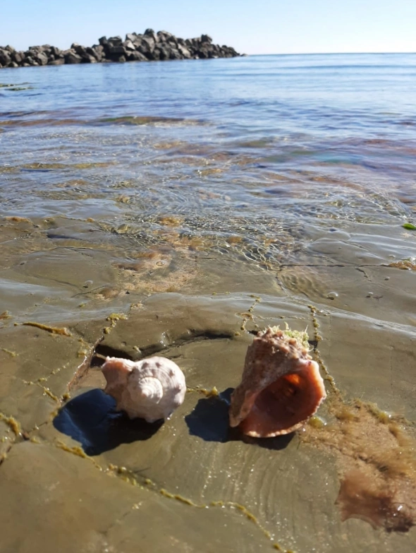 Азия. Пятница.