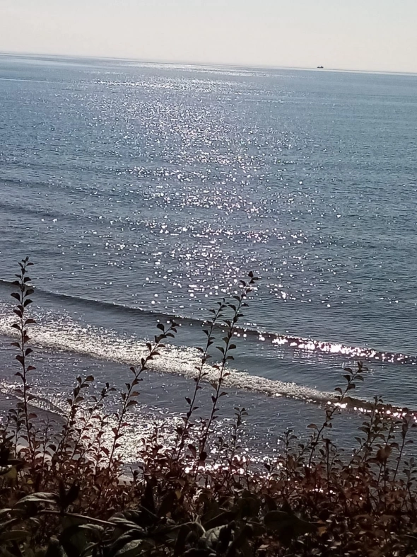 Азия. Понедельник.