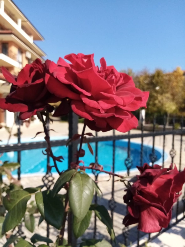 Азия. Вторник.