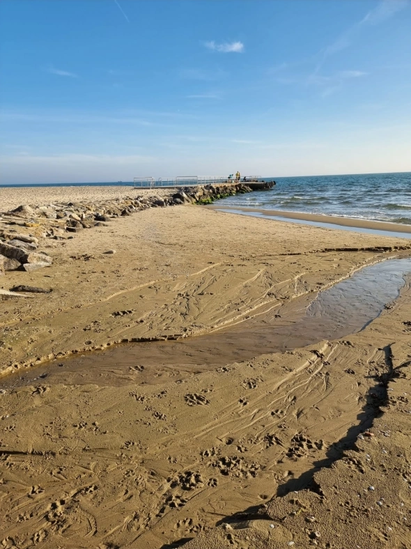 Азия. Среда.