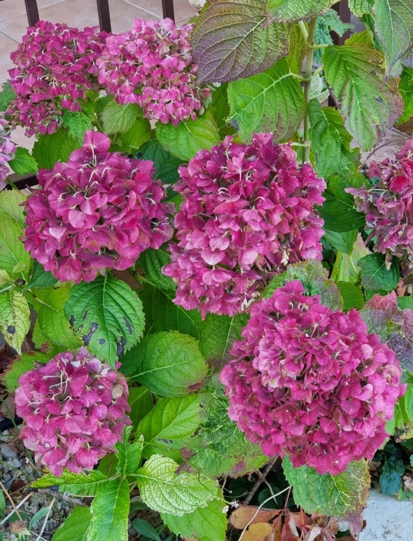 Азия. Четверг.