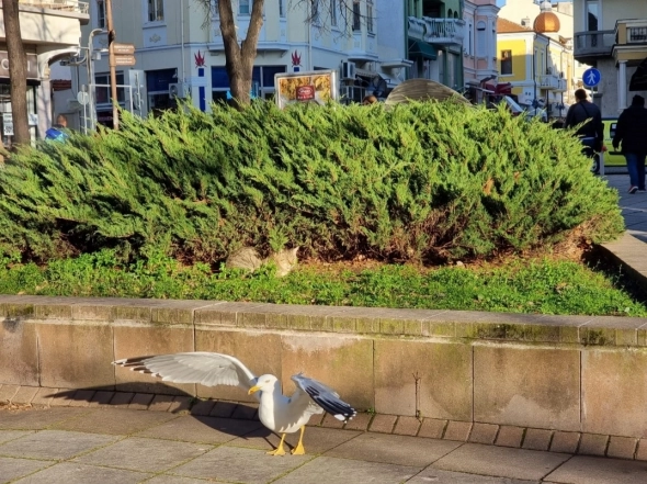Азия. Понедельник.