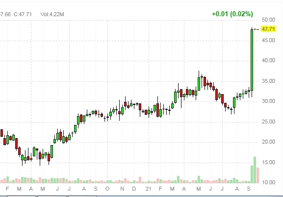 Топ-5 идей на Санкт-Петербургкой бирже