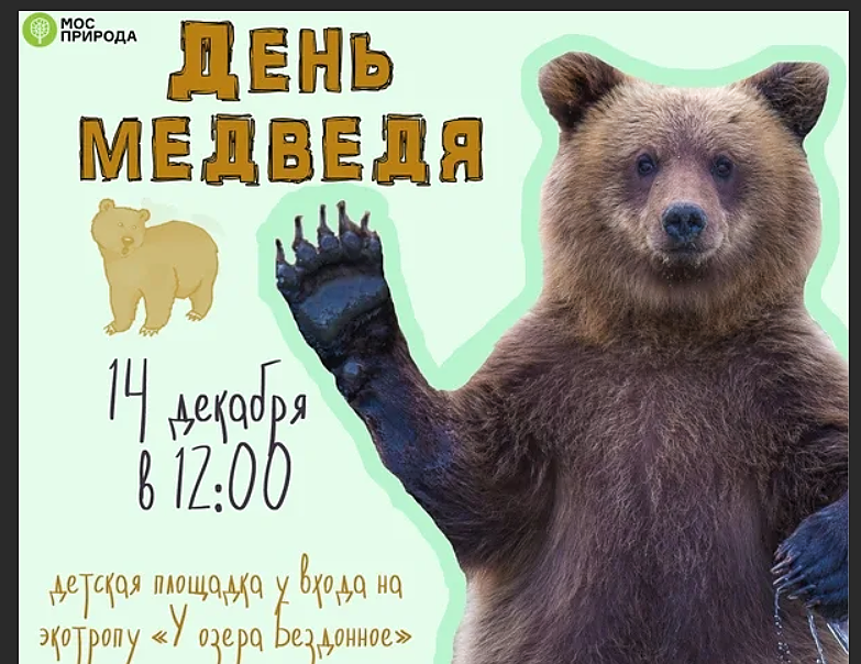День медведя. Поздравление с днем медведя. Всемирный день медведя. День медведя в России. День медведя сценарии