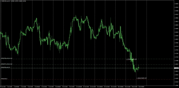 MUFG SPOT / DAILY FIX / 20.07.2021