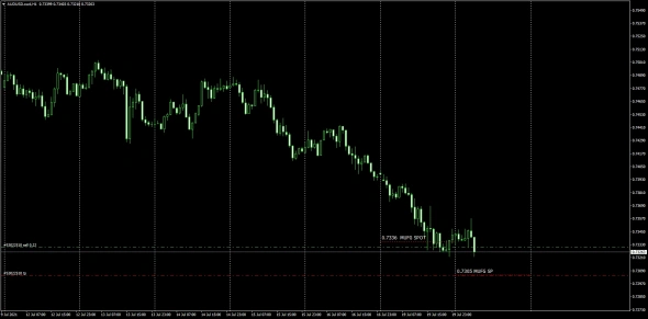 MUFG SPOT / DAILY FIX / 20.07.2021