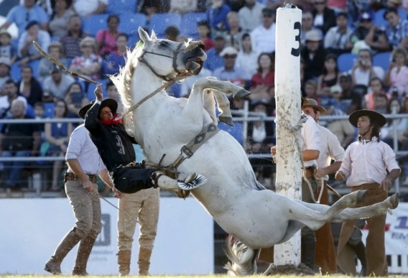 Трейдинг, во сне и наяву.