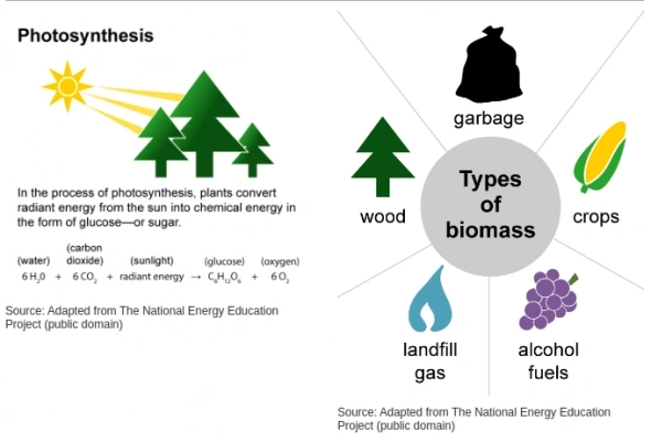 Потребление природного газа и можем ли мы в Биомассы?