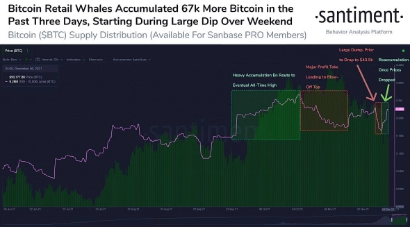 Активные покупки криптокитов подтолкнули биткоин выше $51000