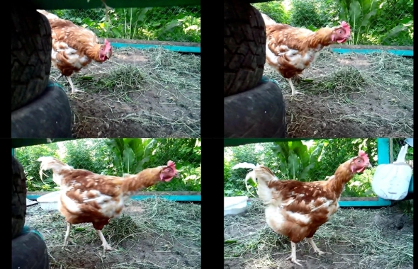 Цыпочки трейдера. У кого сколько было?