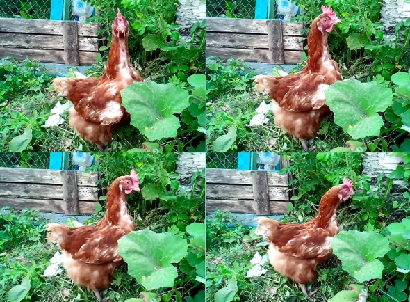 Цыпочки трейдера. У кого сколько было?